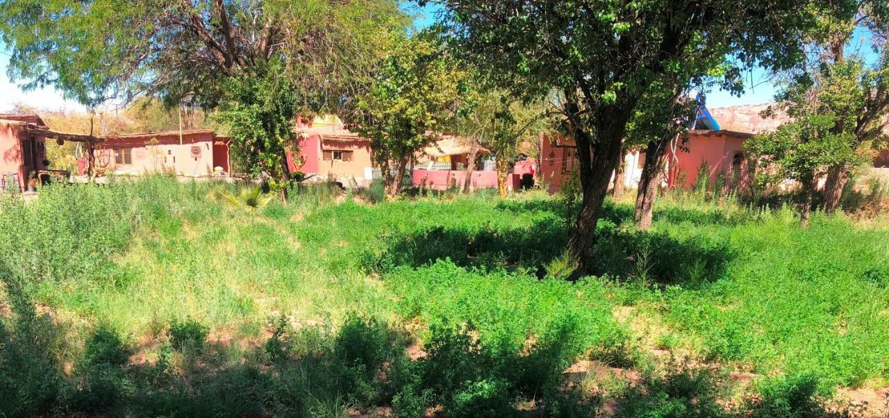 Rancho Quitapenas Bungalows San Pedro de Atacama Oda fotoğraf