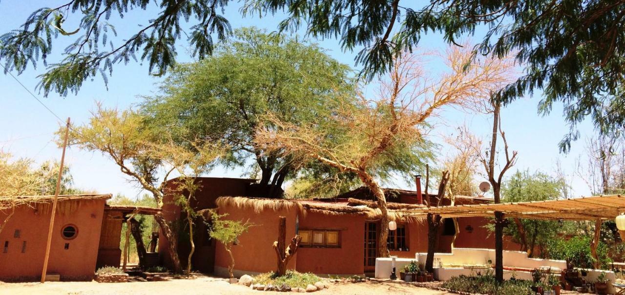 Rancho Quitapenas Bungalows San Pedro de Atacama Oda fotoğraf